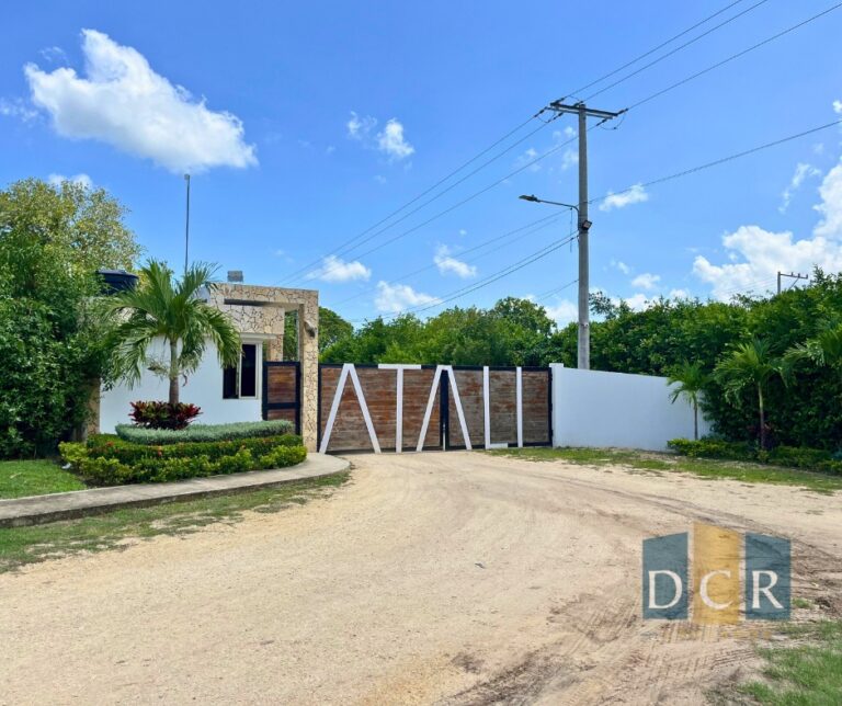 WhatsApp Image 2026-04-01 at 12.14.51 (1)