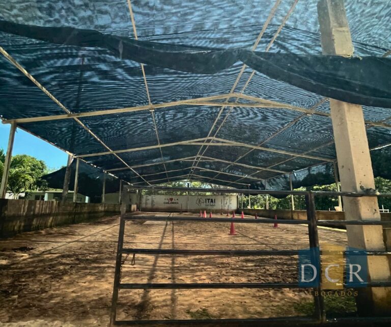 WhatsApp Image 2026-04-01 at 12.14.51 (2)