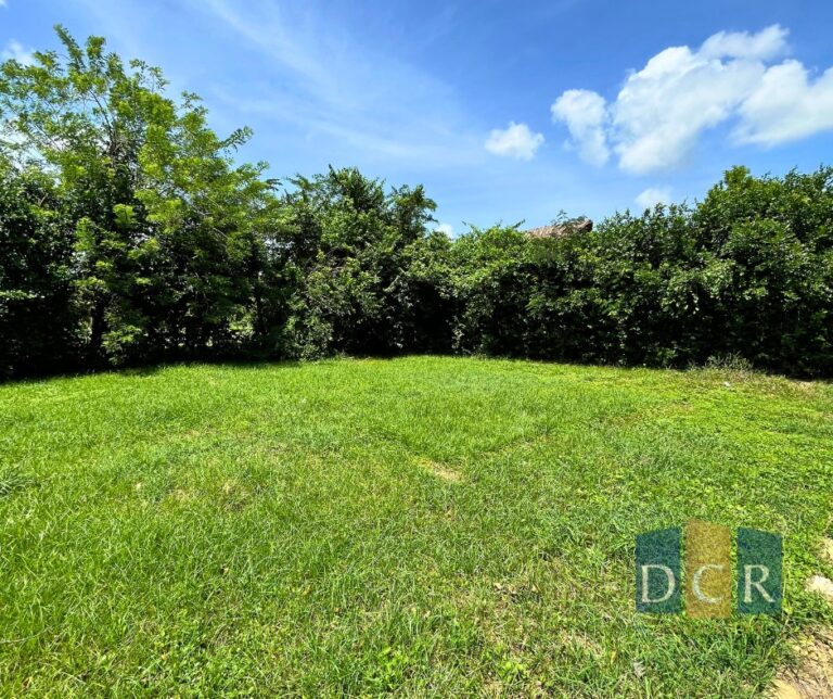 WhatsApp Image 2026-04-01 at 12.14.51 (4)