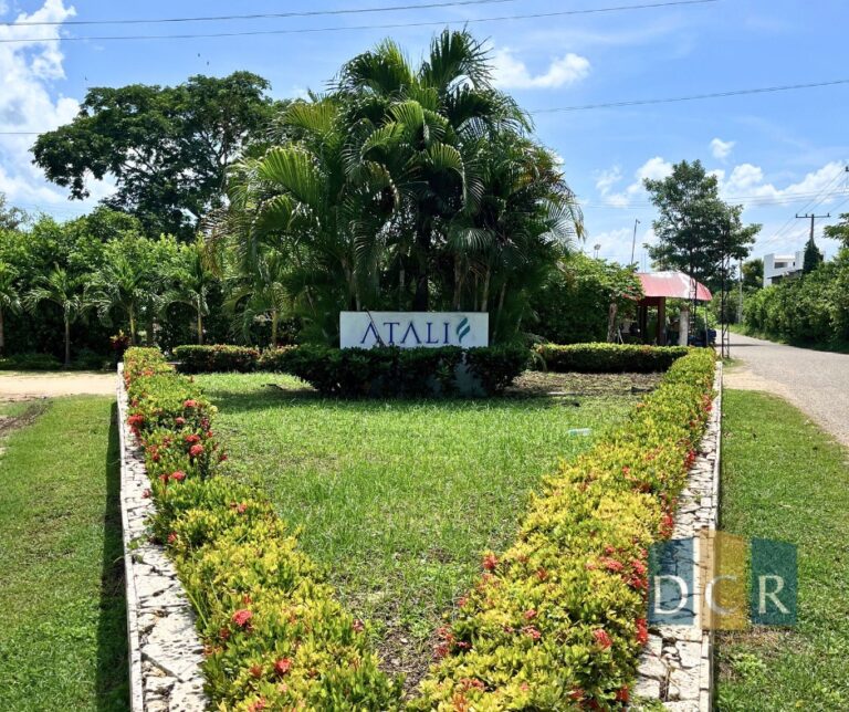 WhatsApp Image 2026-04-01 at 12.14.51